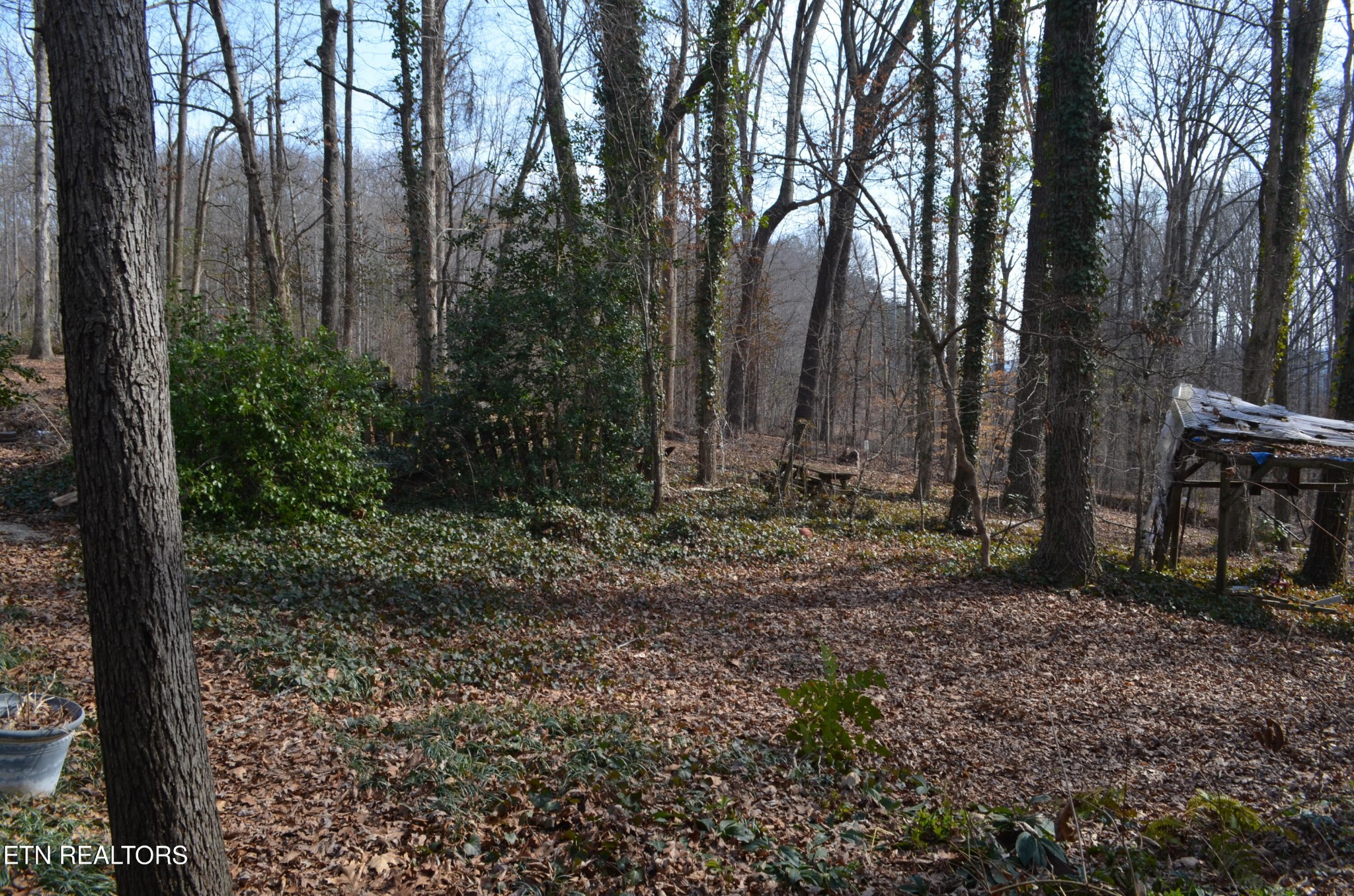 389 Laurel Road Clinton, TN 37716 - Photo 13 of 30 Gallery Image 13