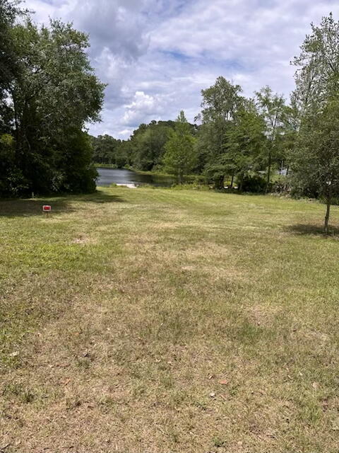 0 Lakeshore Drive Walterboro, SC 29488 - Photo 2 of 2 IMG_3754.HEIC 4