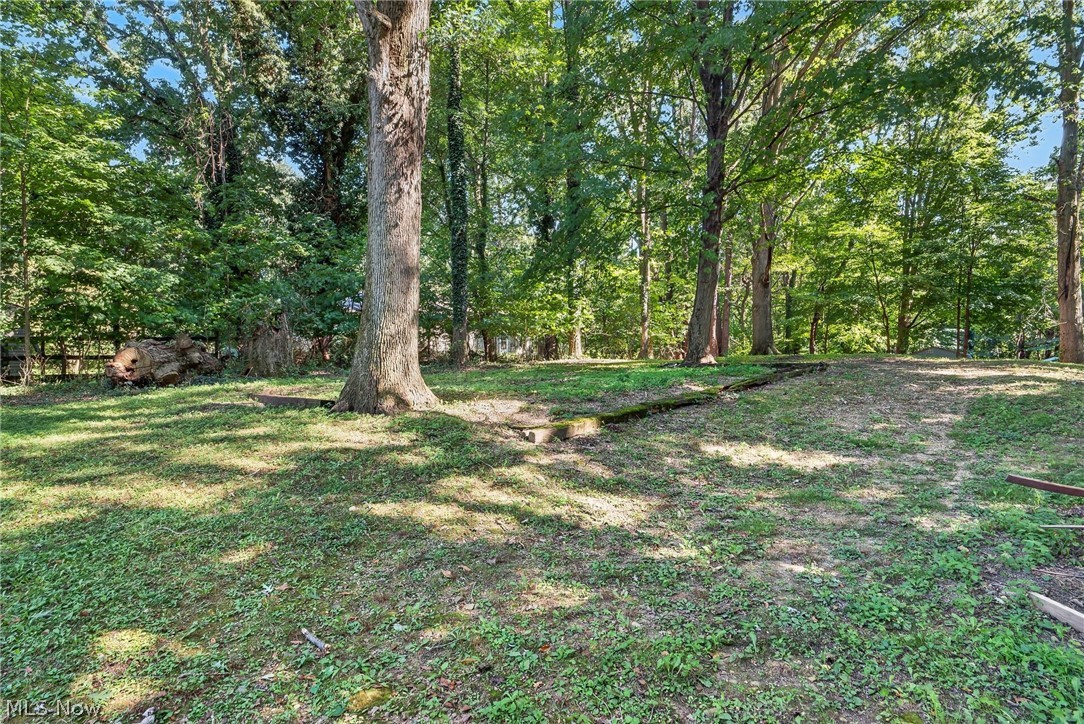 598 Randolph Road Mogadore, OH 44260 - Photo 35 of 46 Expansive lot featuring mature trees and a sloped terrain
