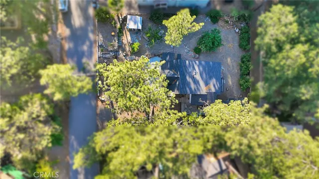 a view of a garden with plants