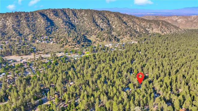 an aerial view of a house with a yard and potted plants