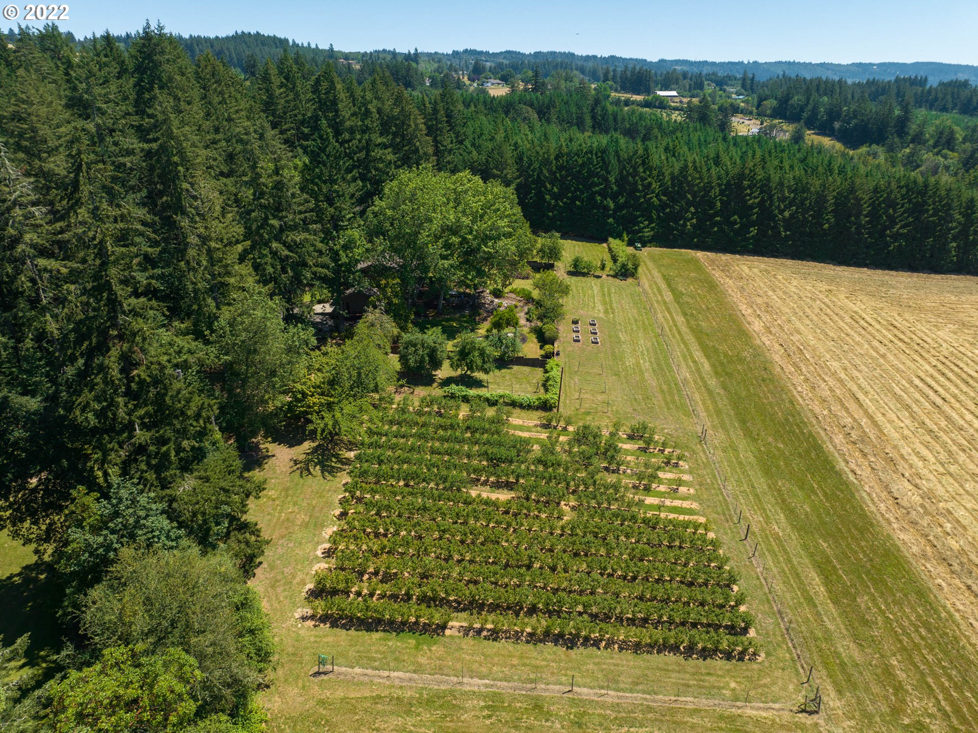 9985 Northwest Kaiser Road Portland, OR 97231 - Photo 28 of 32 Drone View/UAV