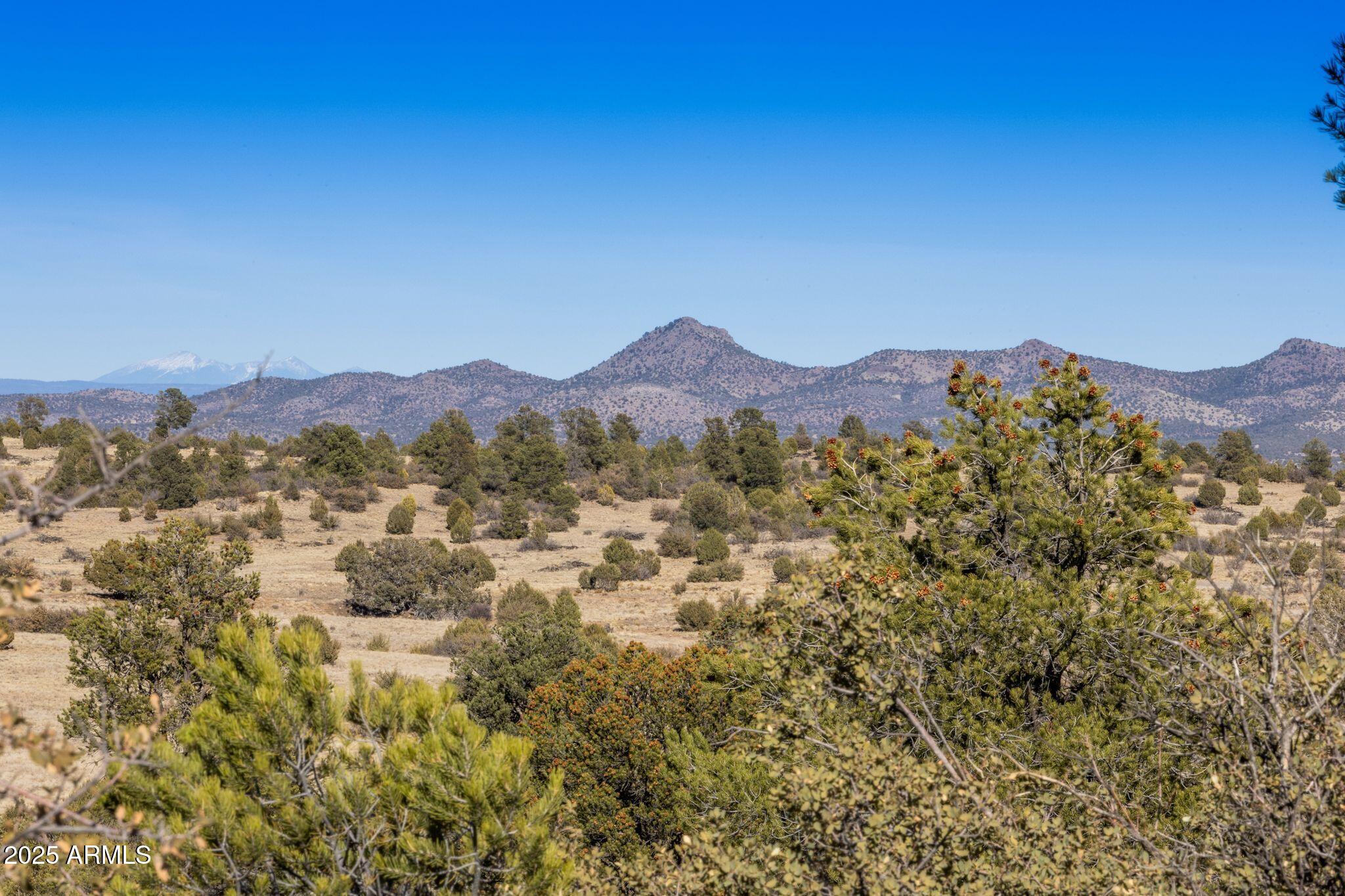 1 North Las Vegas Road Prescott, AZ 86305 - Photo 10 of 53 10_111