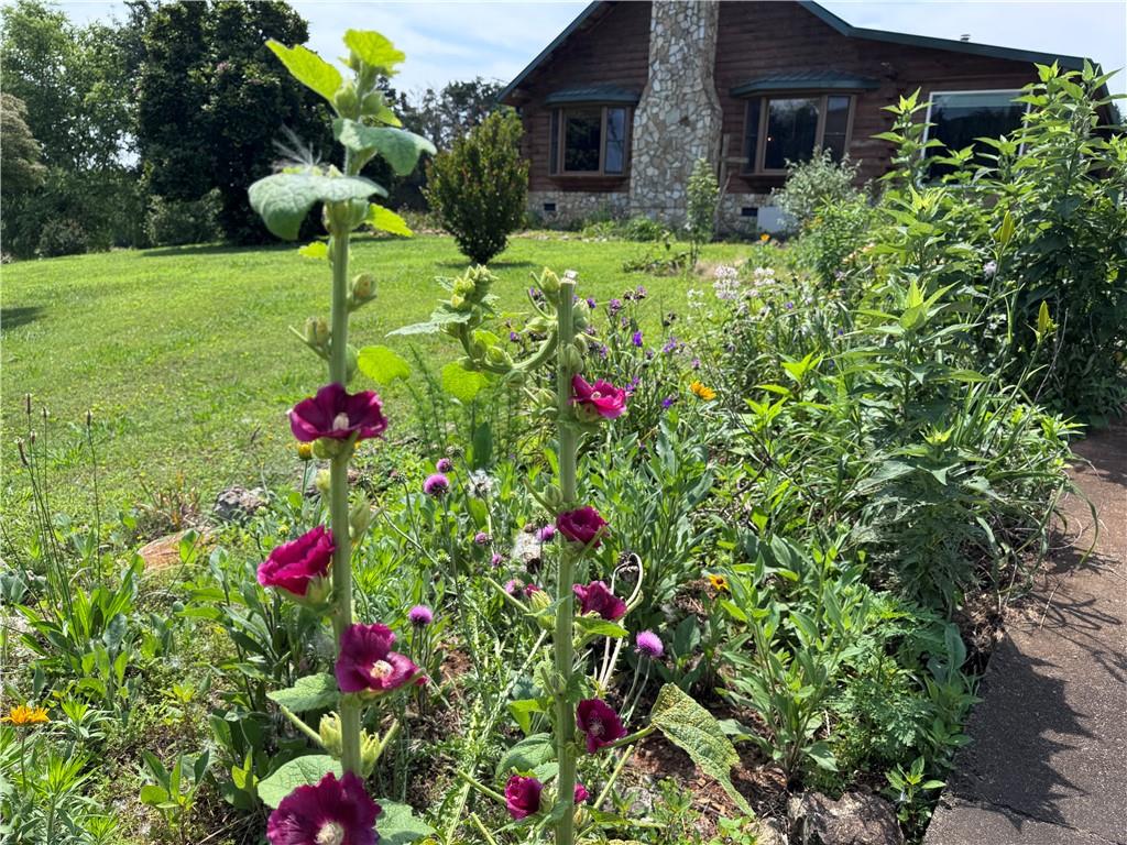 315 Woody Road Northwest Adairsville, GA 30103 - Photo 36 of 42 a flower garden view