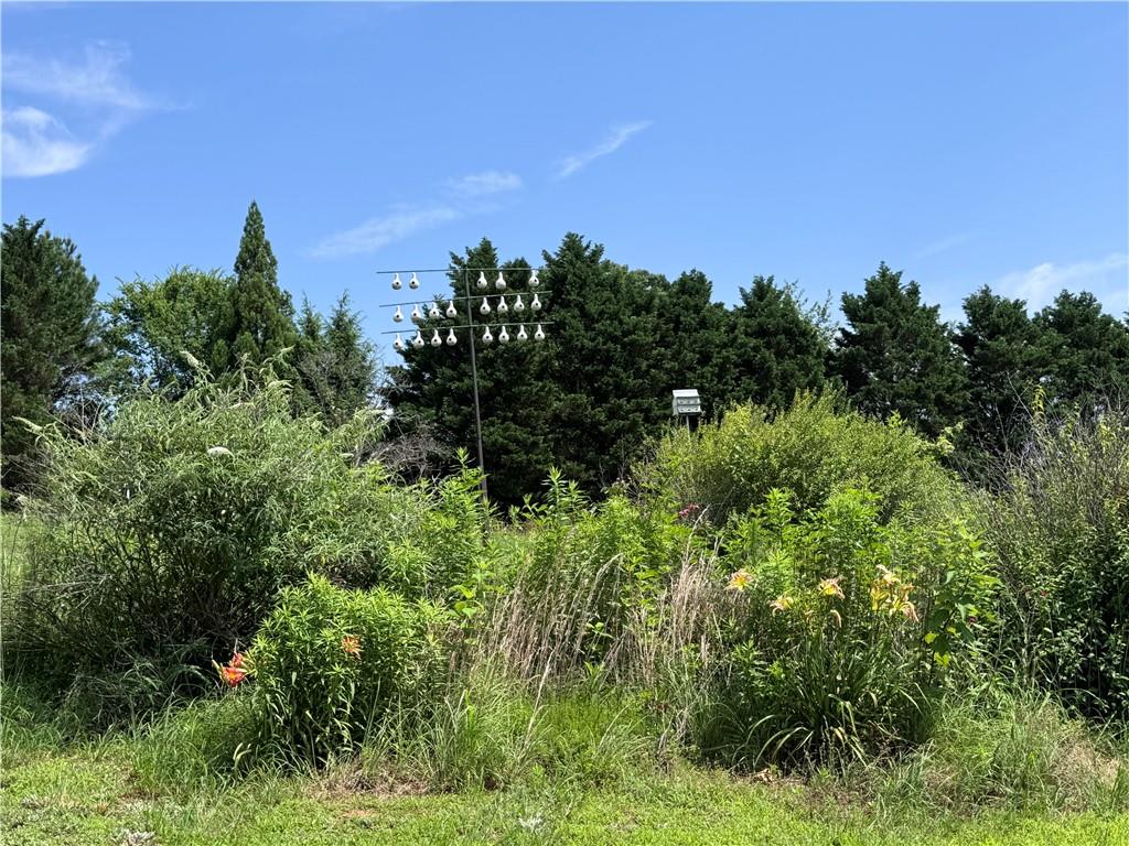 315 Woody Road Northwest Adairsville, GA 30103 - Photo 42 of 50 a view of a green field