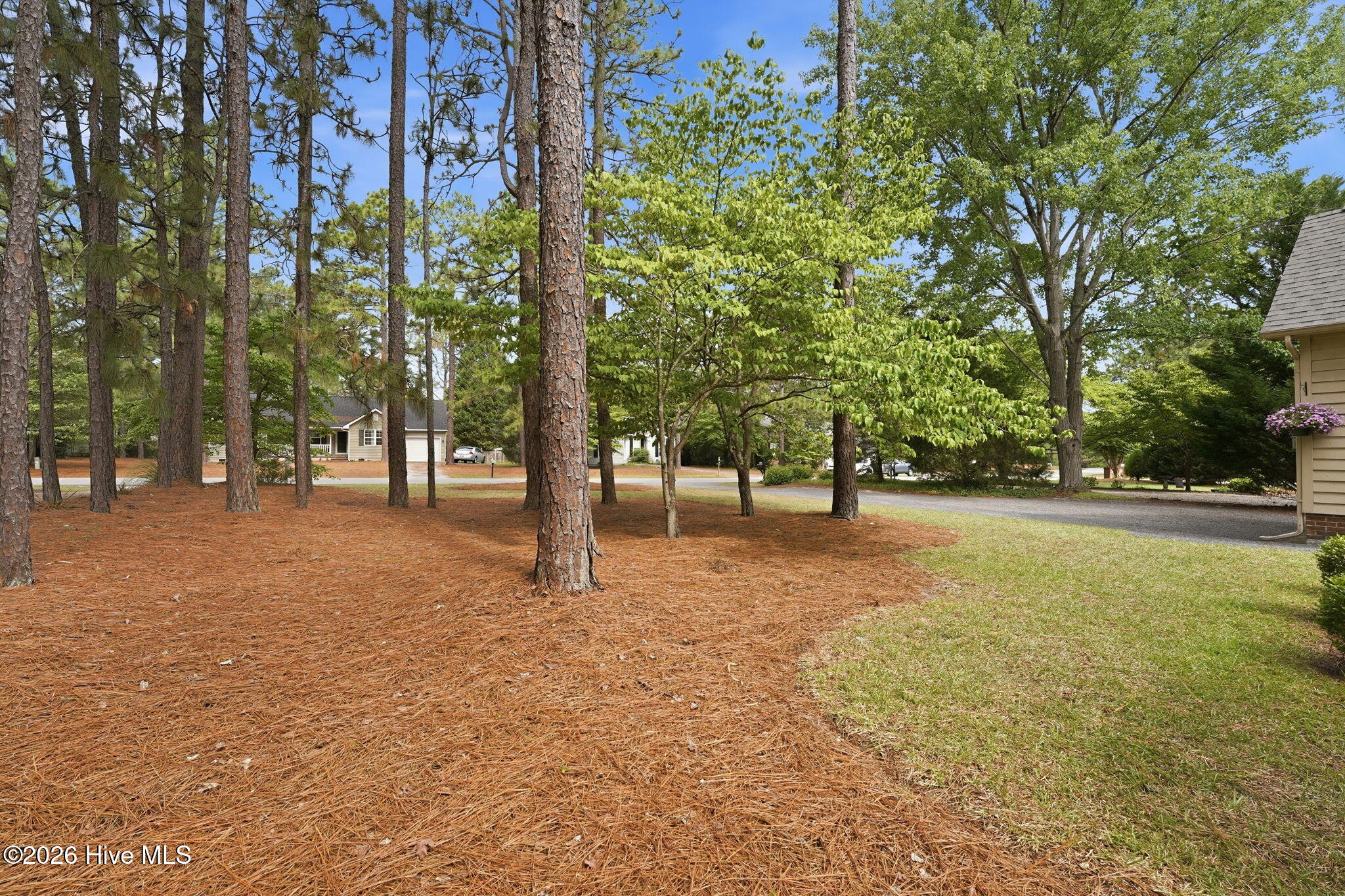 190 Fox Run Road Pinehurst, NC 28374 - Photo 14 of 44