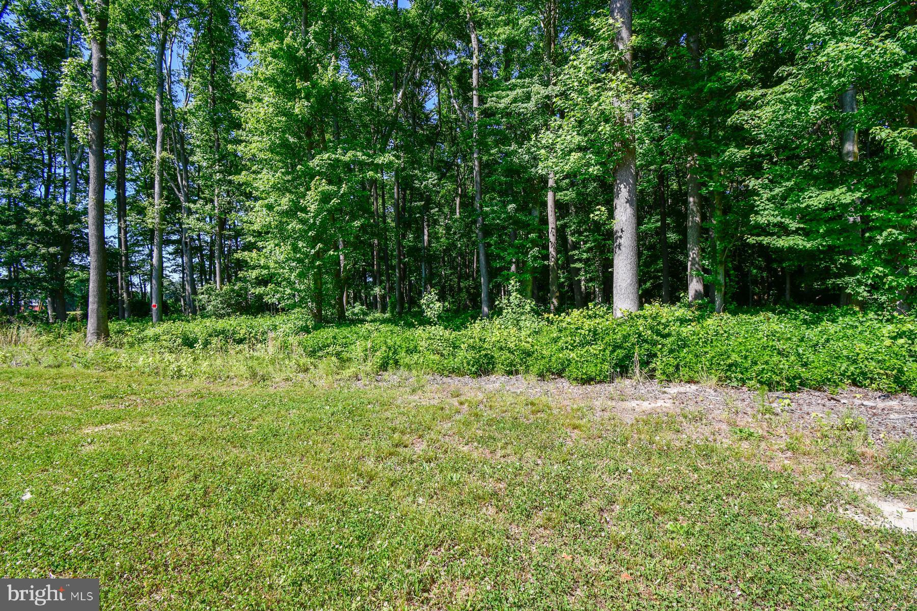 11006 Mumford Road Bishopville, MD 21813 - Photo 48 of 48