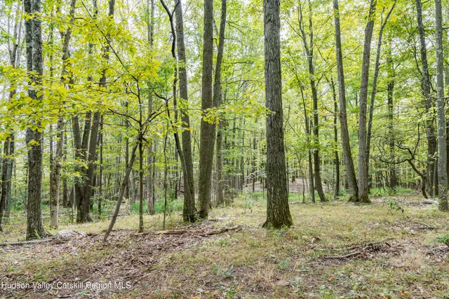 a backyard of a house with lots of trees and wooden fence
