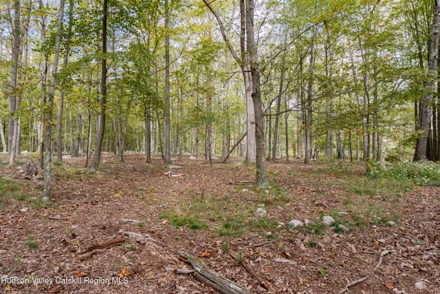 a view of outdoor space with trees