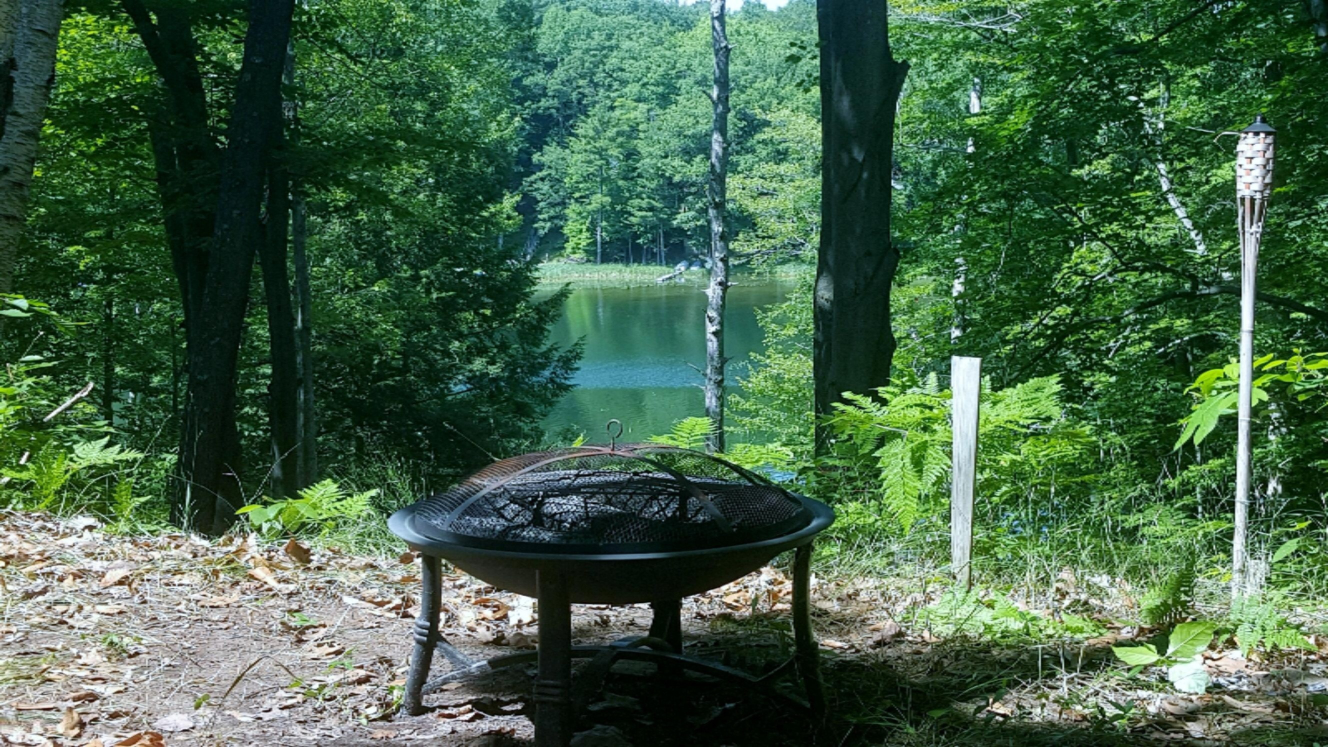 6174 East Interlochen Road Fountain, MI 49410 - Photo 12 of 16 fire pit