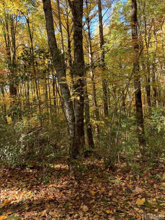 0 Satulah Road Highlands, NC 28741 - Photo 2 of 4 Gallery Image 2