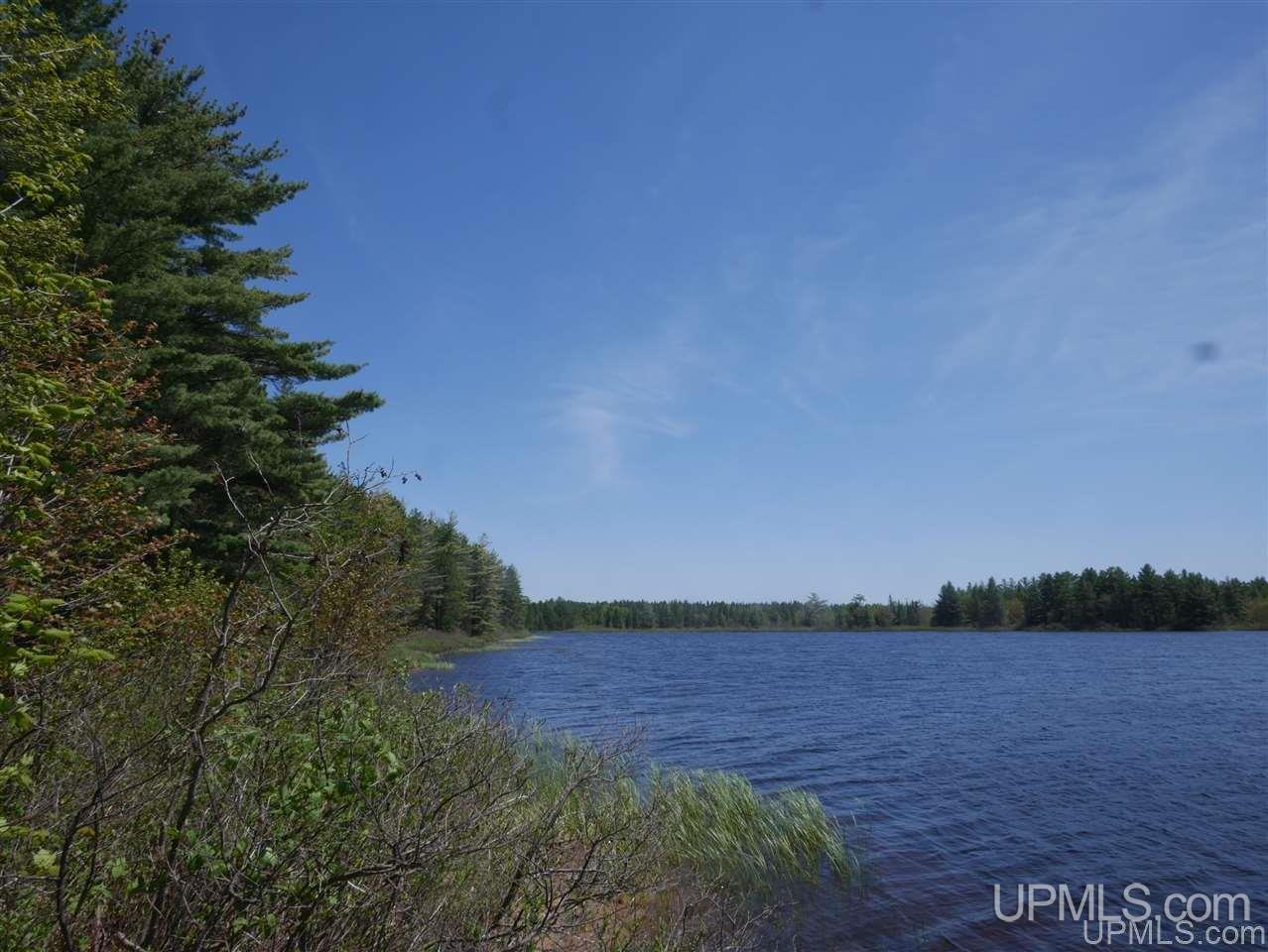 33985 Rice Landing Rd Lake Lake Linden, MI 49945 - Photo 25 of 30