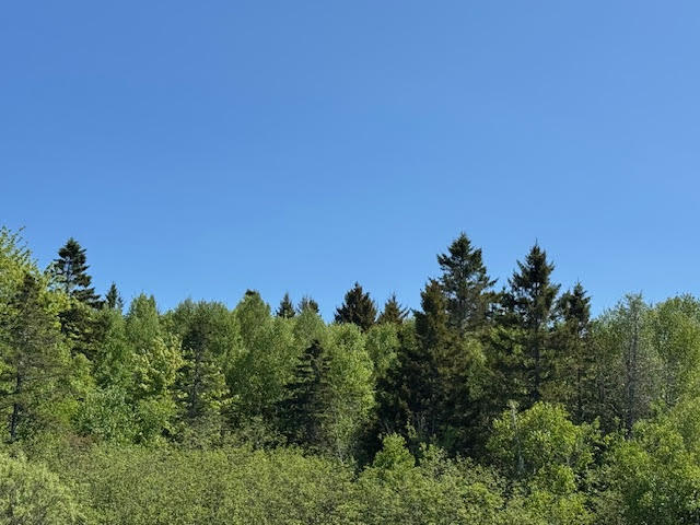 104 County Road Eastport, ME 04631 - Photo 2 of 13 unnamed-2 copy