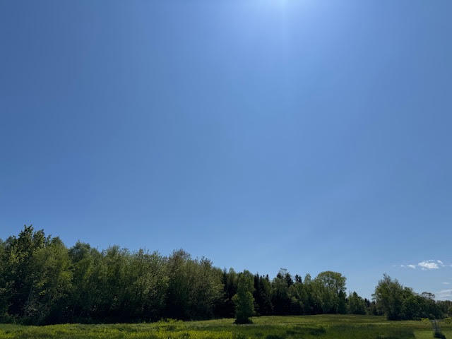 104 County Road Eastport, ME 04631 - Photo 3 of 13 unnamed copy