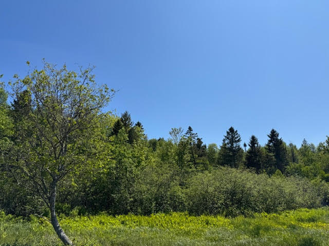 104 County Road Eastport, ME 04631 - Photo 5 of 13 unnamed-2