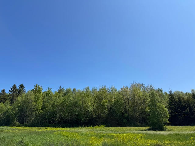 104 County Road Eastport, ME 04631 - Photo 6 of 13 unnamed-6