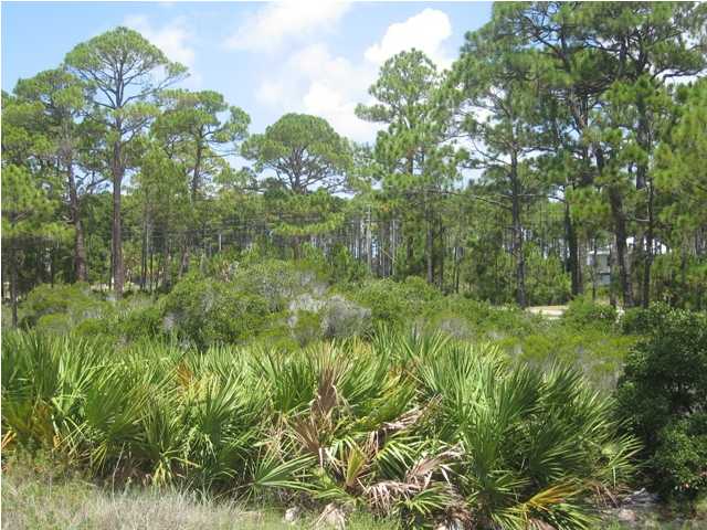 0 Cape San Blas Road, Unit 20 Port St. Joe, FL 32456 - Photo 1 of 1