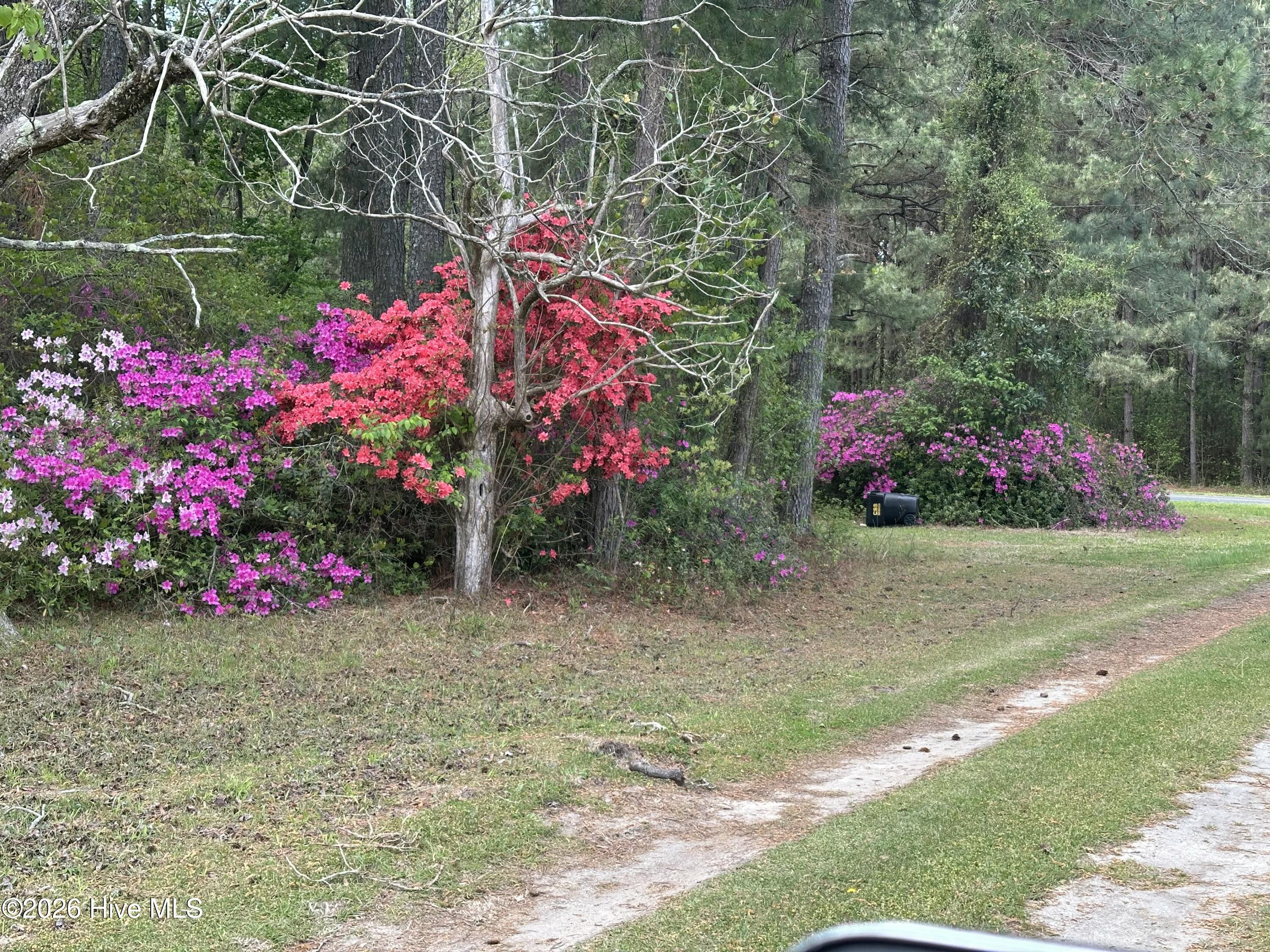 4897 Braxton Road Grifton, NC 28530 - Photo 20 of 21 Gallery Image 20