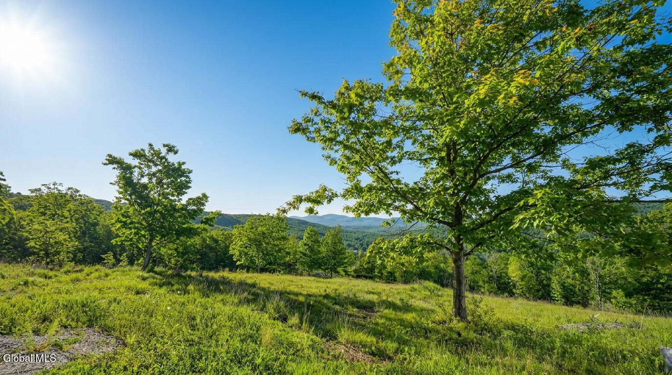 L10.10 Cheese Hill Road Preston Hollow, NY 12469 - Photo 16 of 56 10.10-Cheese-Hill-Rd-Rensselaerville-ext
