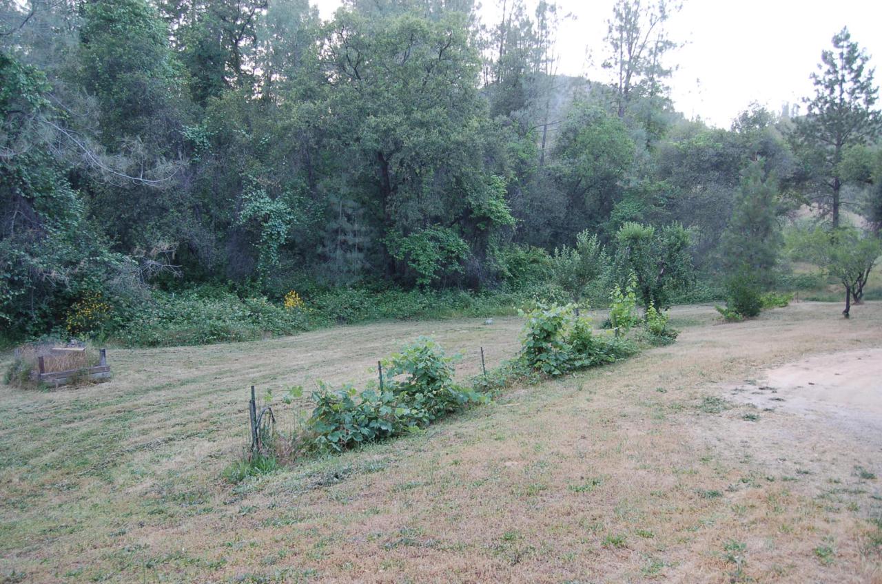 19600-197 Gray Rock Road Redding, CA 96003 - Photo 1 of 2 Main