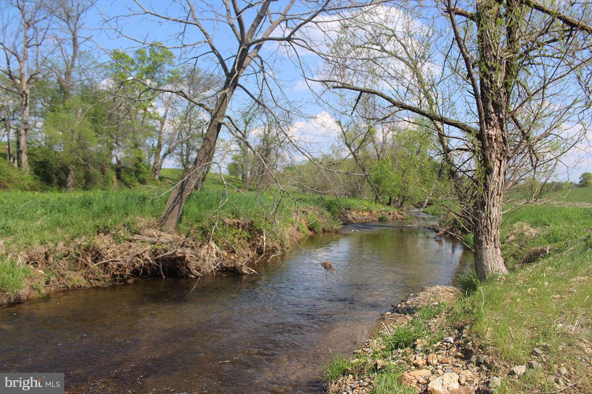Ebenezer Church Road Round Hill, VA 20141 - Photo 4 of 12 Stream
