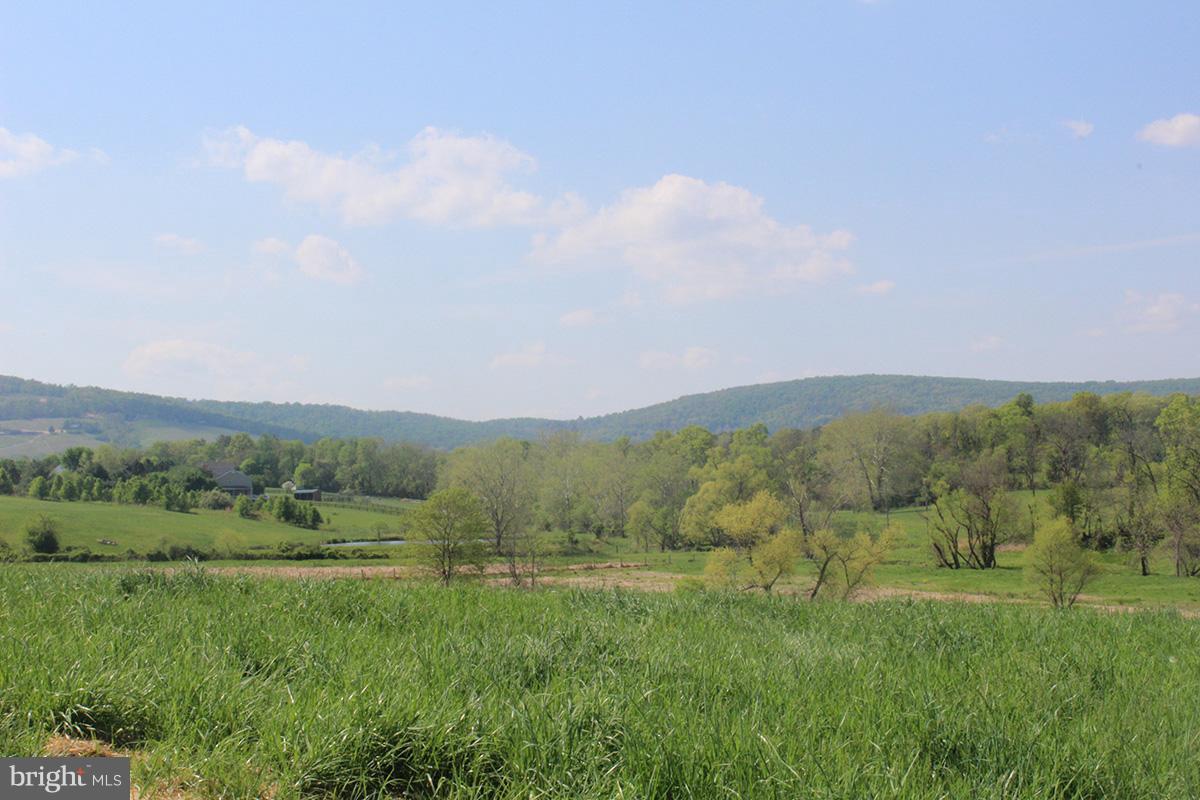 Ebenezer Church Road Round Hill, VA 20141 - Photo 7 of 12 Exterior (General)
