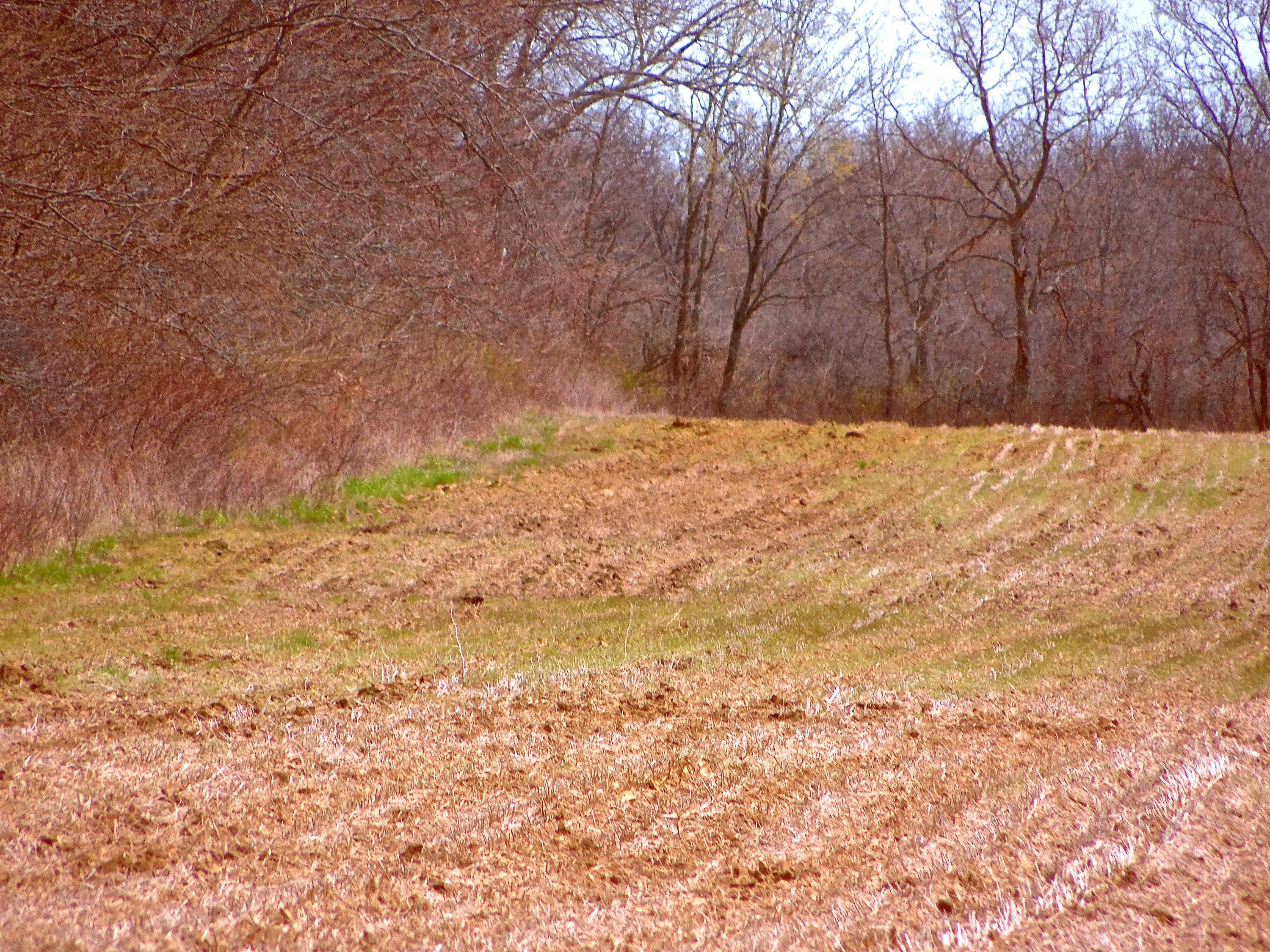 0 Gregg Mill Road Mount Sterling, OH 43143 - Photo 1 of 3