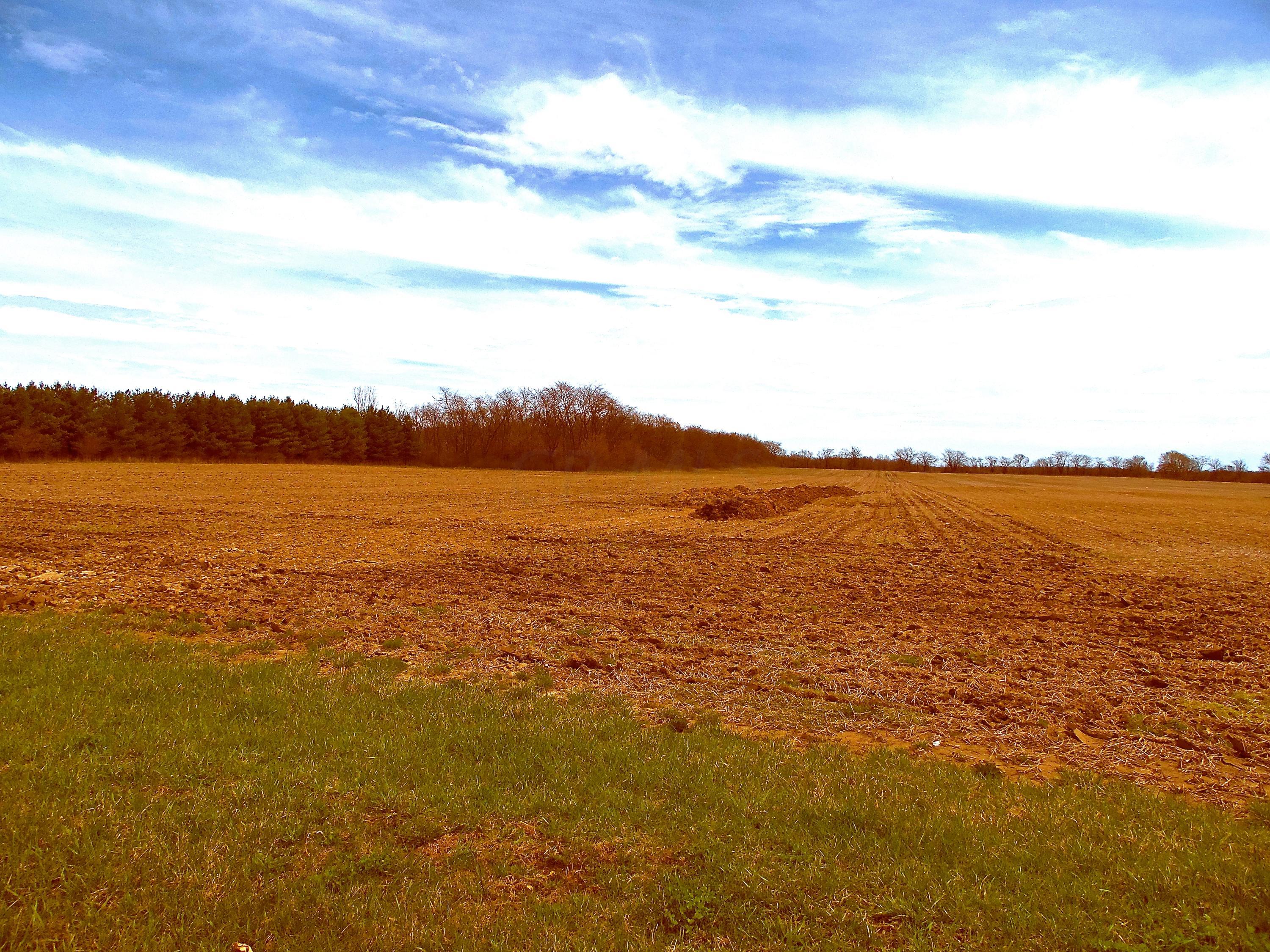 0 Gregg Mill Road Mount Sterling, OH 43143 - Photo 2 of 3
