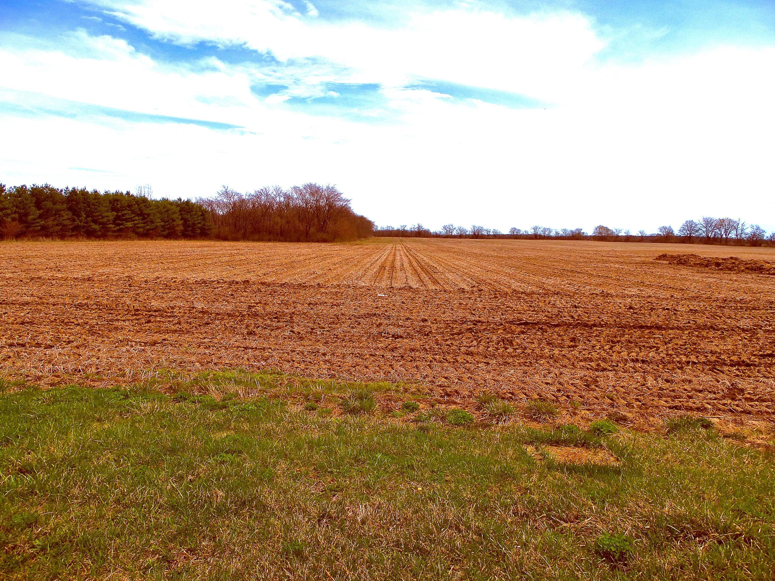 0 Gregg Mill Road Mount Sterling, OH 43143 - Photo 3 of 3