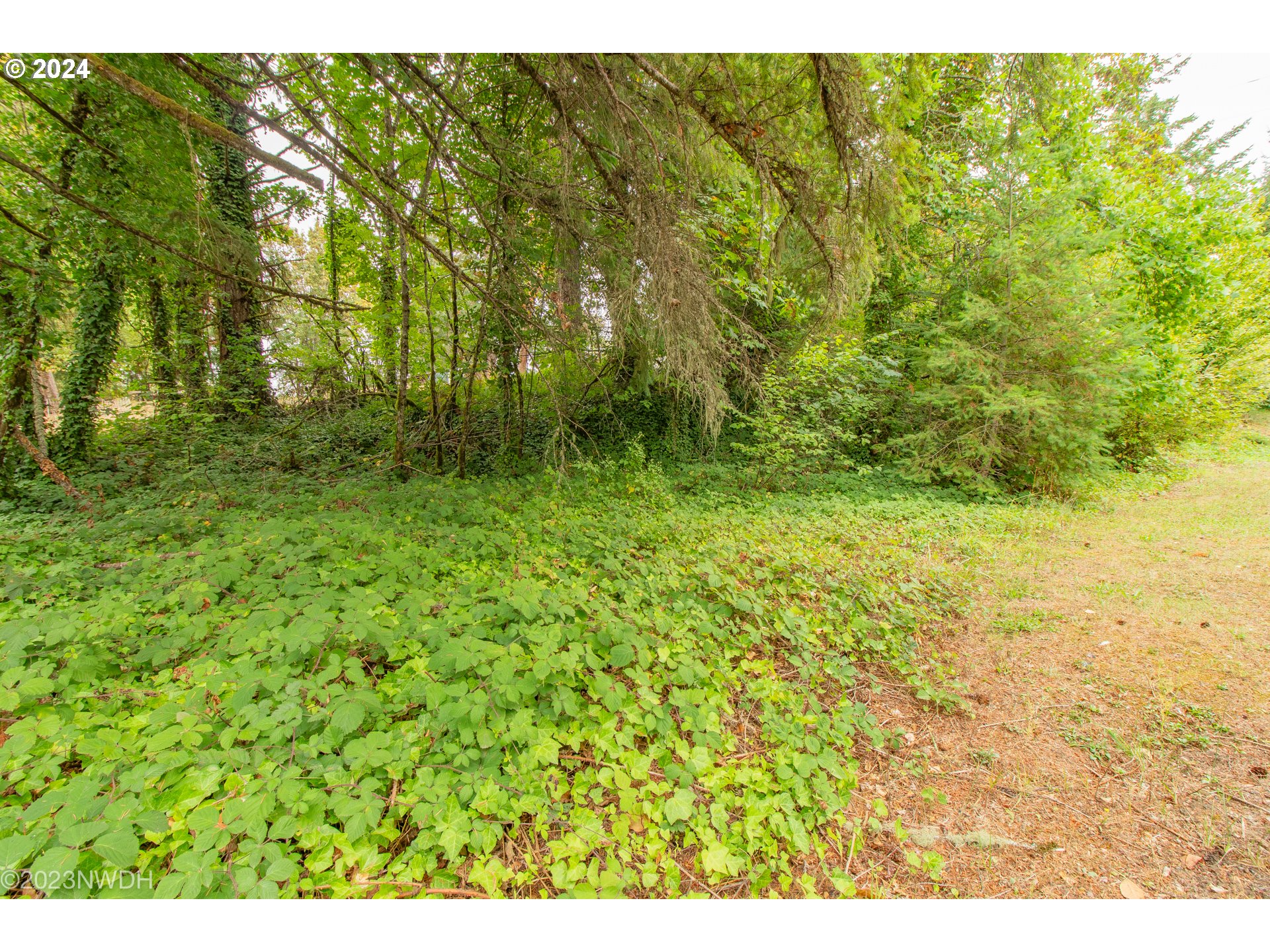 37728 Kimball Road Dexter, OR 97431 - Photo 38 of 46 Gallery Image 38