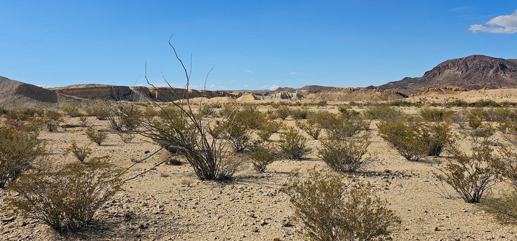 399 Grass Draw Road Terlingua, TX 79852 - Photo 8 of 18 Gallery Image 8