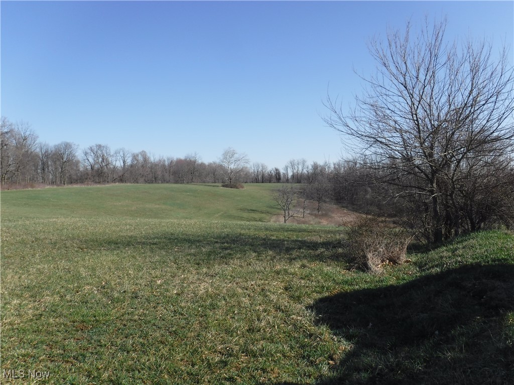 3680 Flint Ridge Road Hopewell, OH 43746 - Photo 25 of 50 Long view of back hayfield and small valley. More building sites!