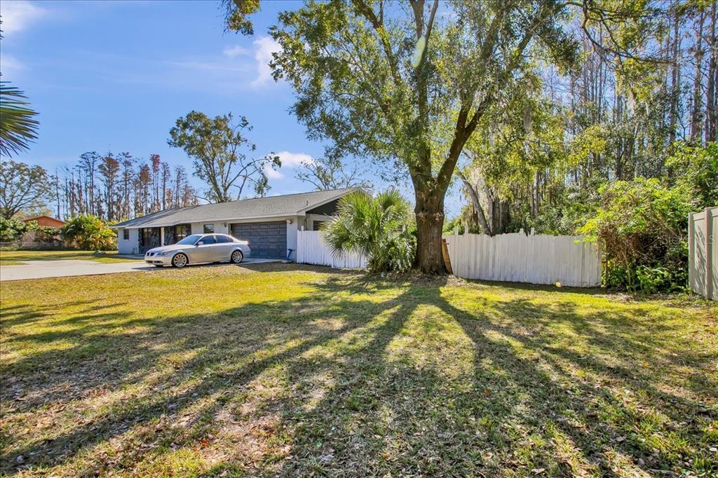 6124 Lynn Road Tampa, FL 33625 - Photo 6 of 84 Gallery Image 6