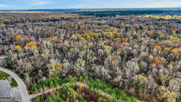 $37,500 | 32 Brannen Landing Road, Midville, GA 30441