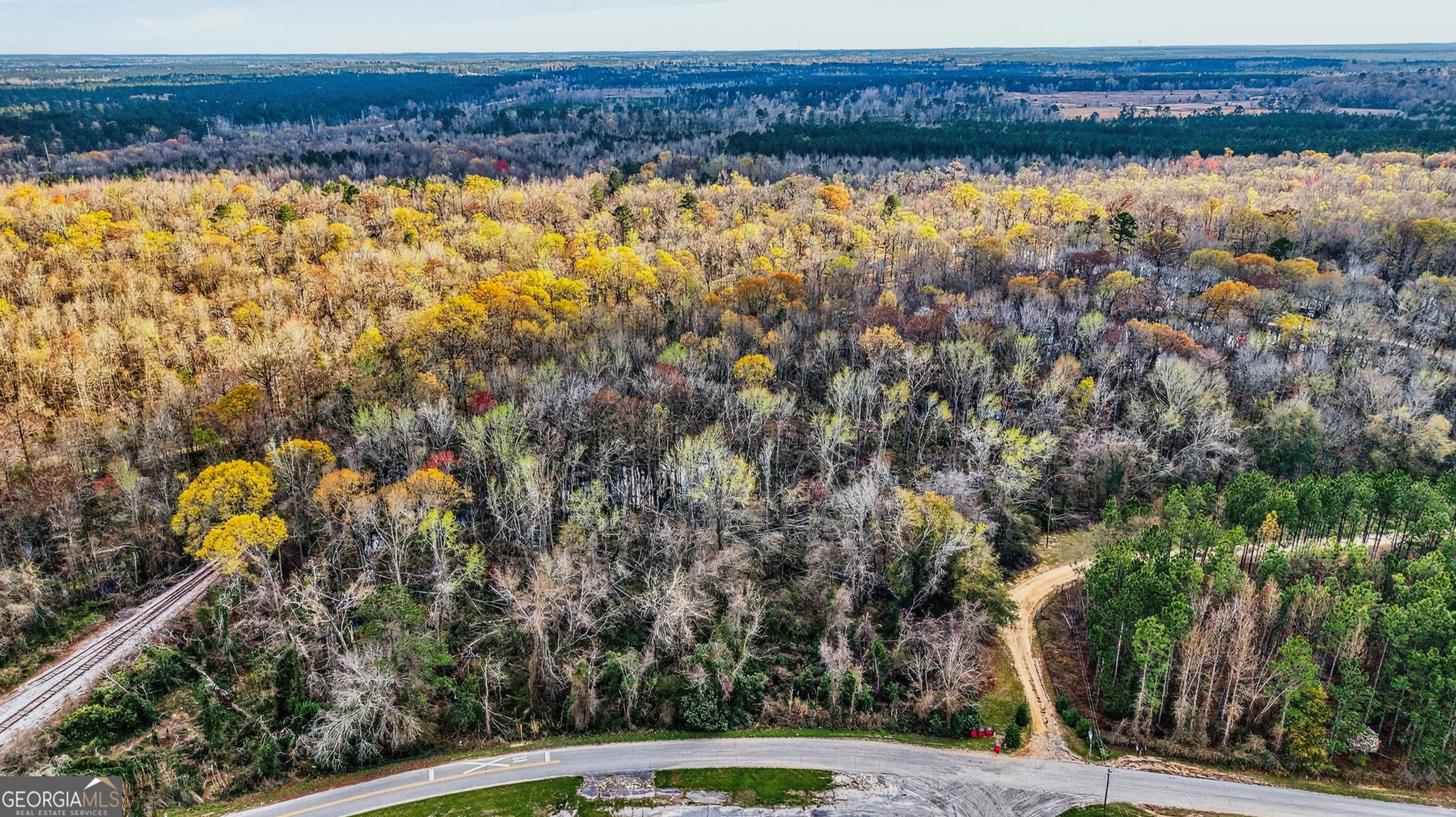32 Brannen Landing Road Midville, GA 30441 - Photo 6 of 11