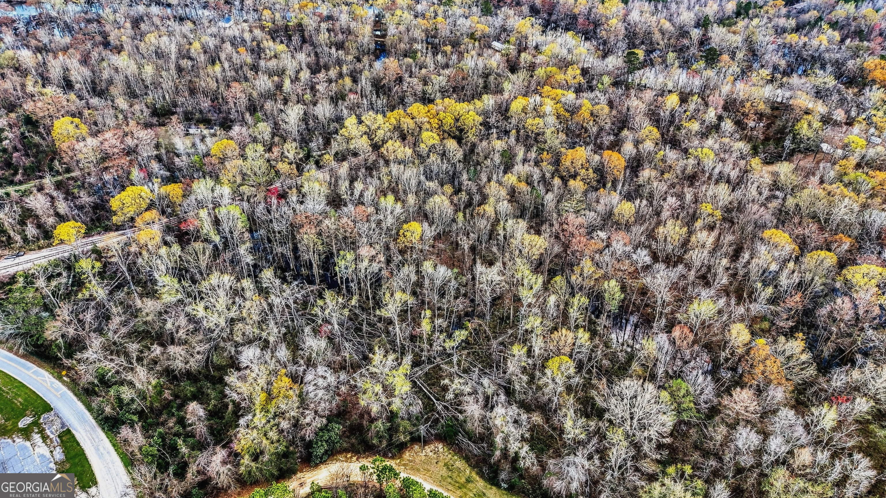 32 Brannen Landing Road Midville, GA 30441 - Photo 8 of 11