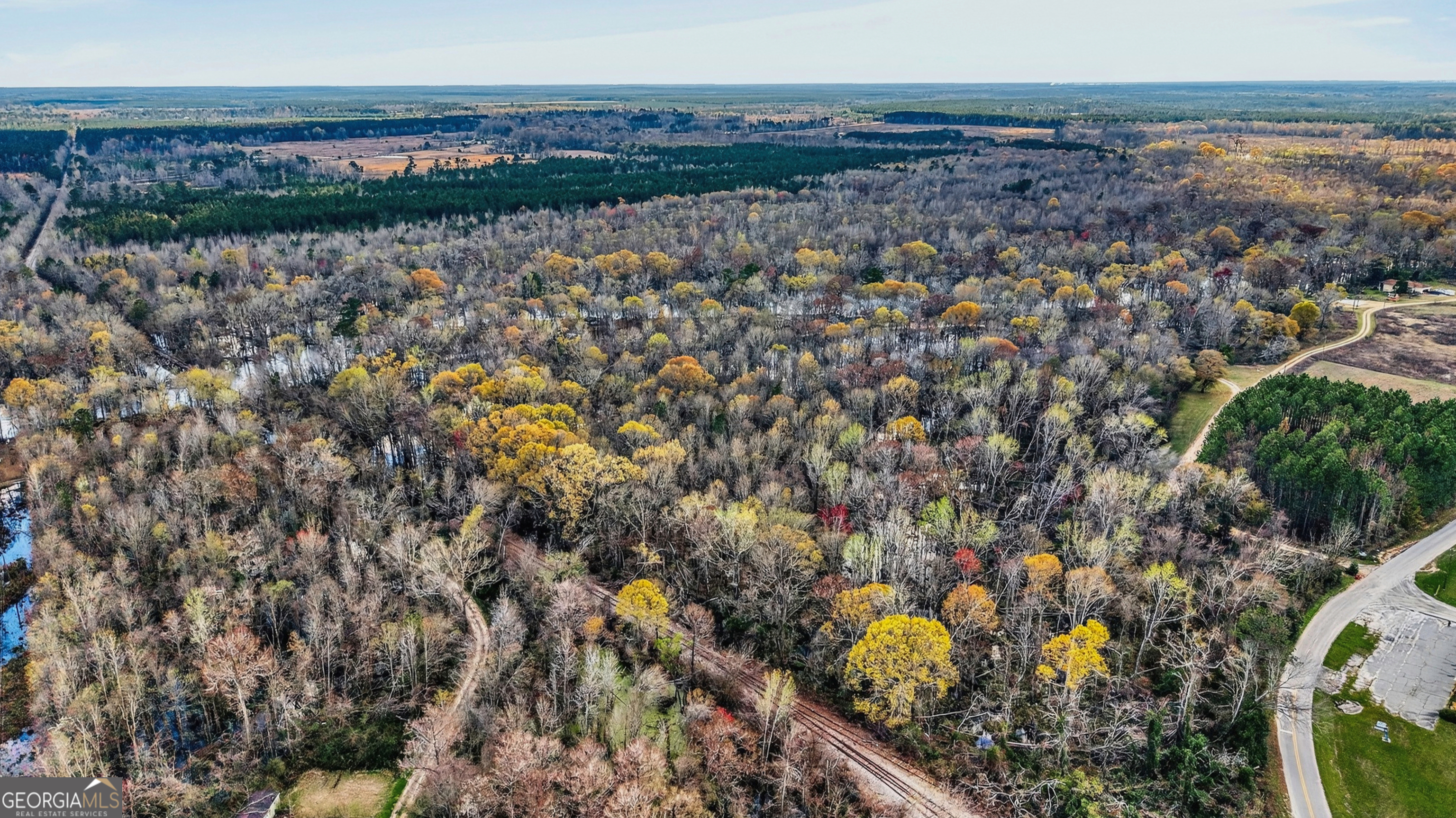32 Brannen Landing Road Midville, GA 30441 - Photo 9 of 11