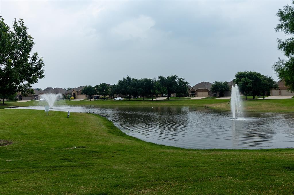 616 England Street Fate, TX 75189 - Photo 39 of 40 View of water feature