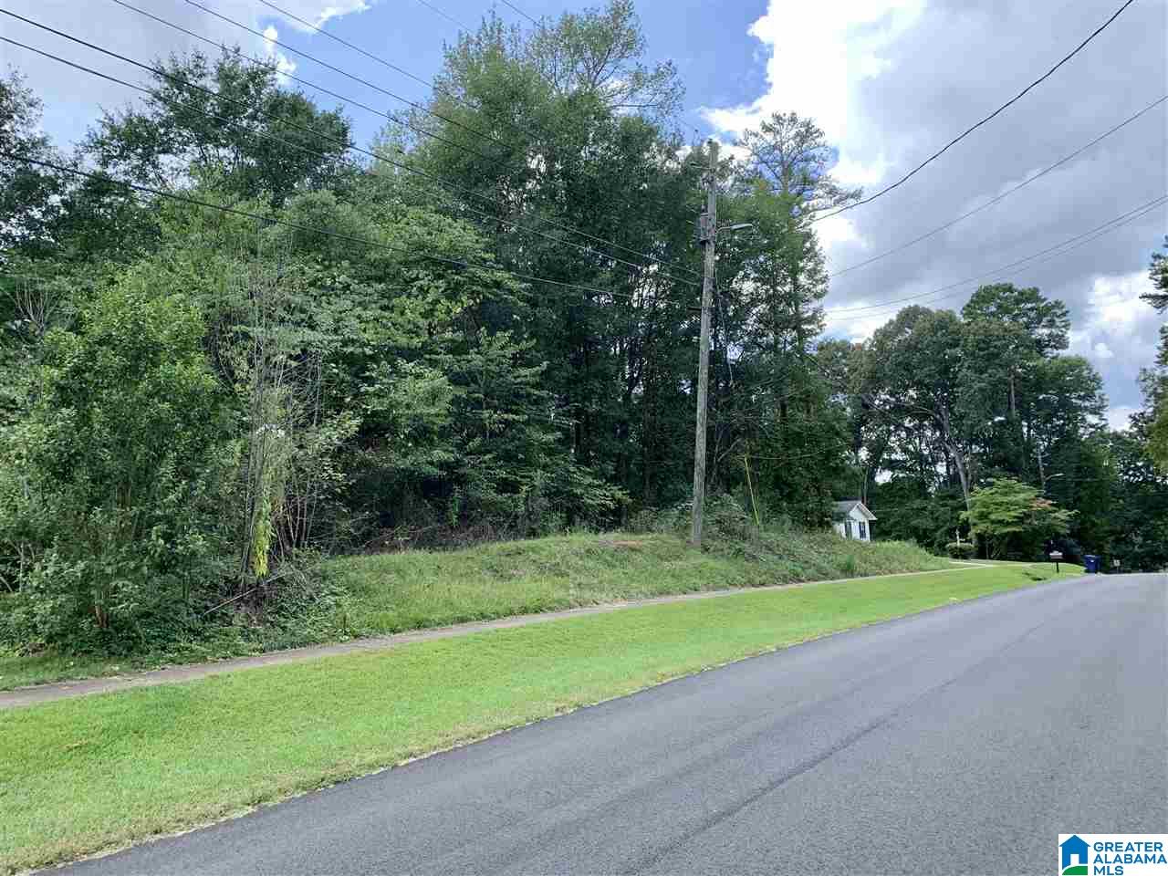 0 Spring Valley Road, Unit 1 PARCEL Anniston, AL 36207 - Photo 5 of 6