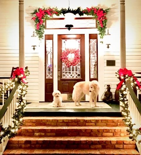 16484 Wood Acres Road Fairhope, AL 36532 - Photo 47 of 47