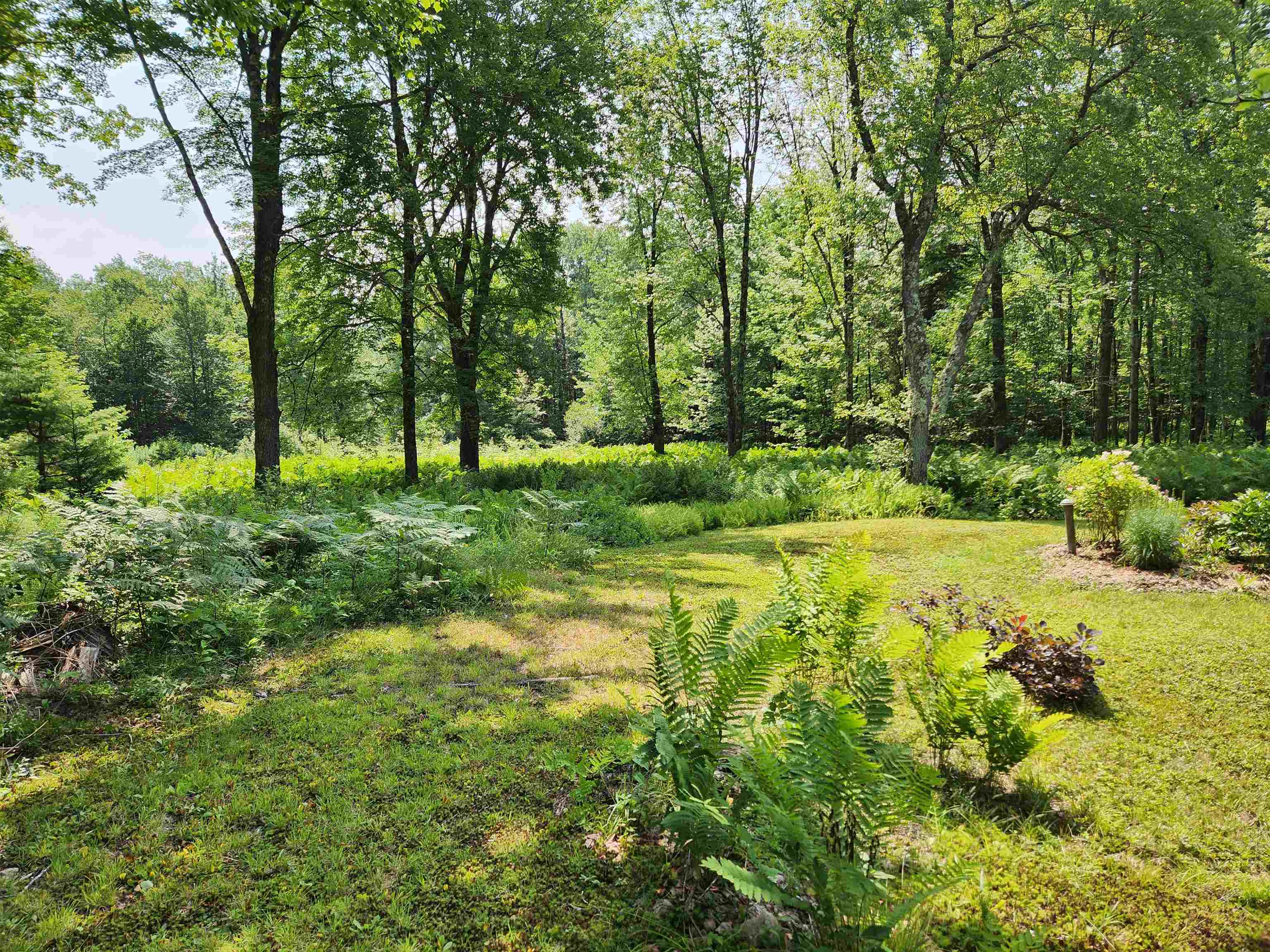 1706 North Branch Road Ripton, VT 05766 - Photo 4 of 25
