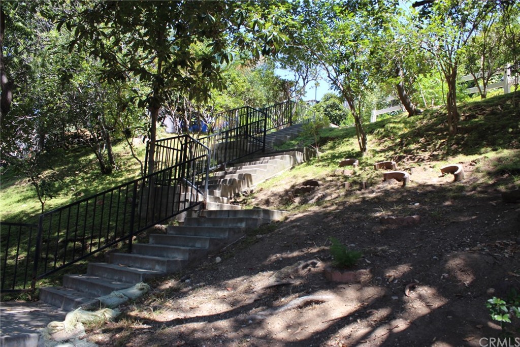 0 Woodcliffe Road Pasadena, CA 91105 - Photo 11 of 18 a view of a yard with plants and trees