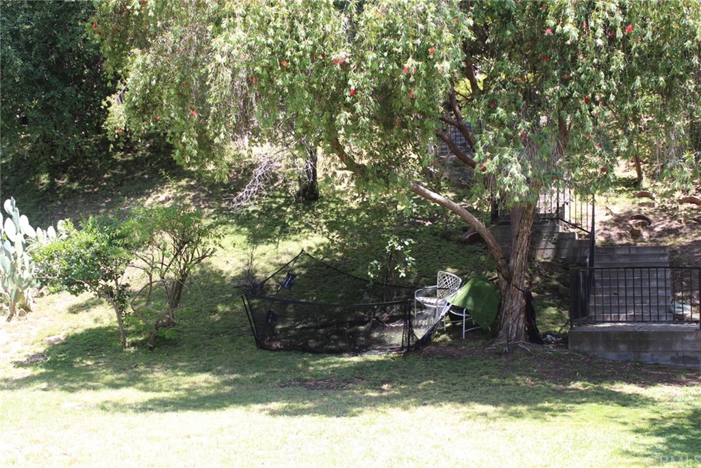 0 Woodcliffe Road Pasadena, CA 91105 - Photo 15 of 18 a view of a yard with a tree