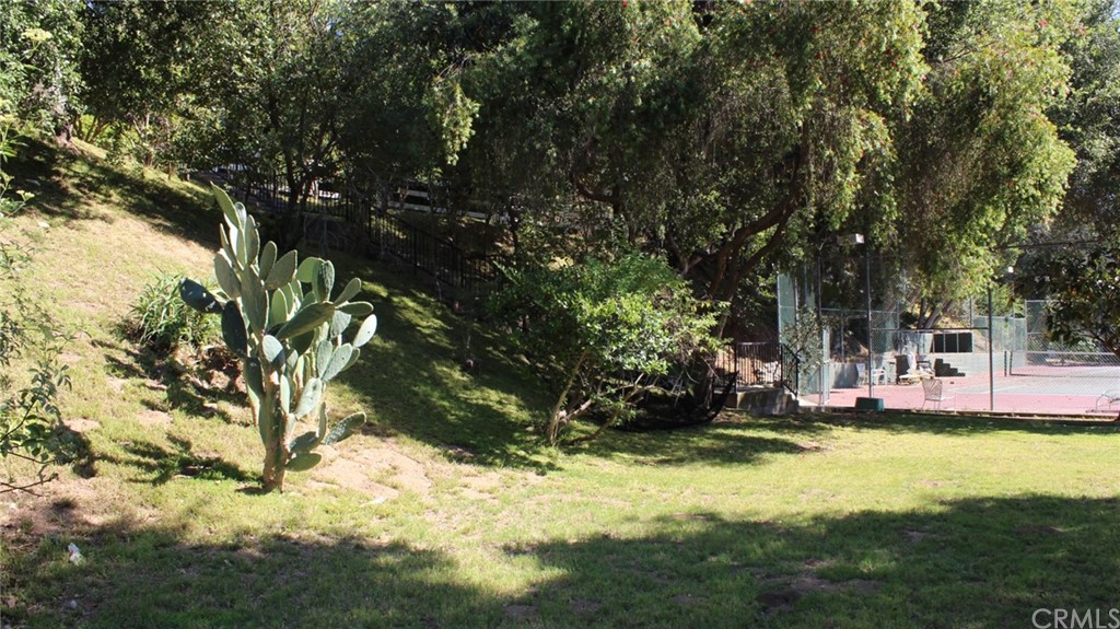 0 Woodcliffe Road Pasadena, CA 91105 - Photo 18 of 18 a view of a yard with plants