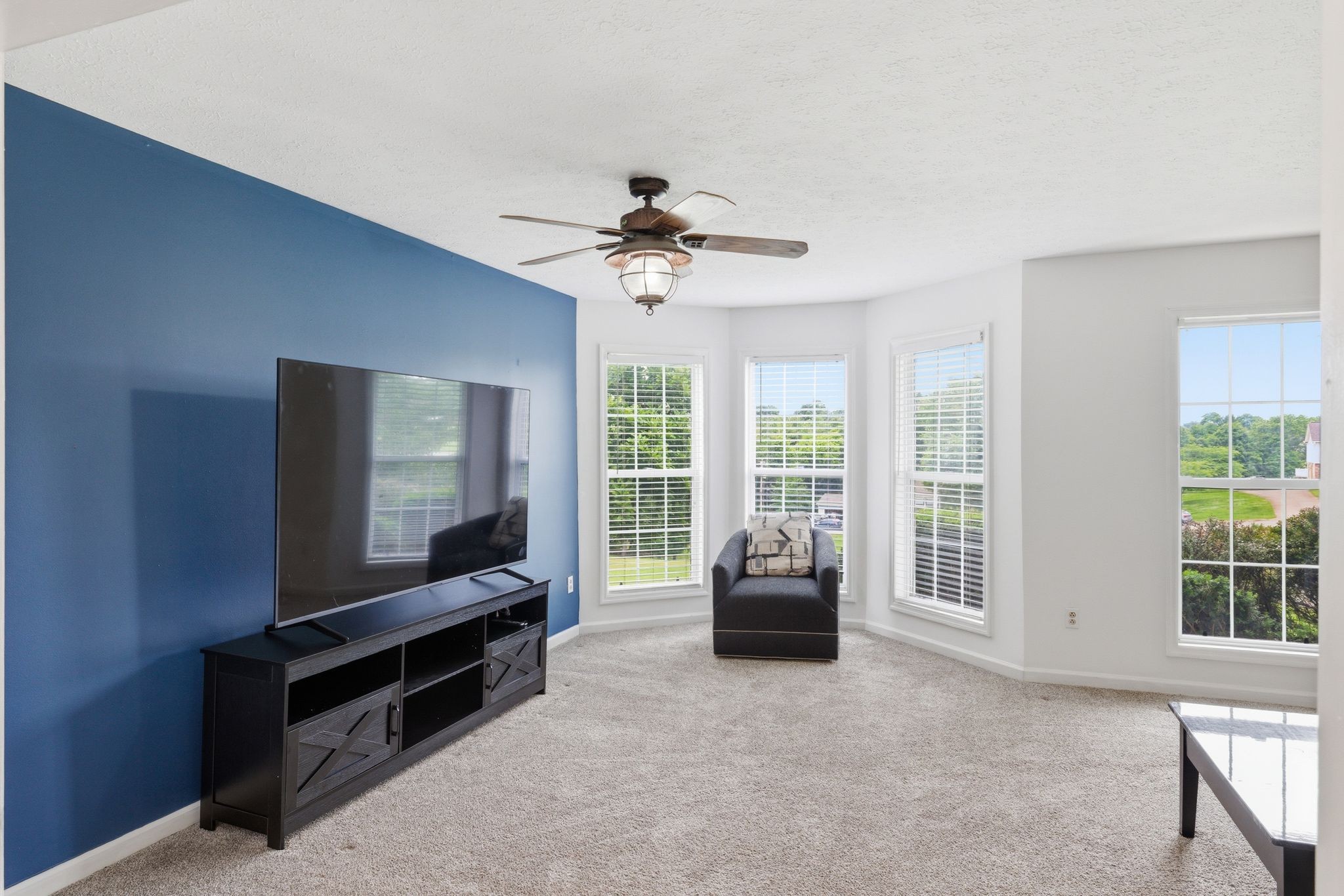 615 Vaughan's Gap Road Spring Hill, TN 37174 - Photo 4 of 26 a living room with furniture and windows