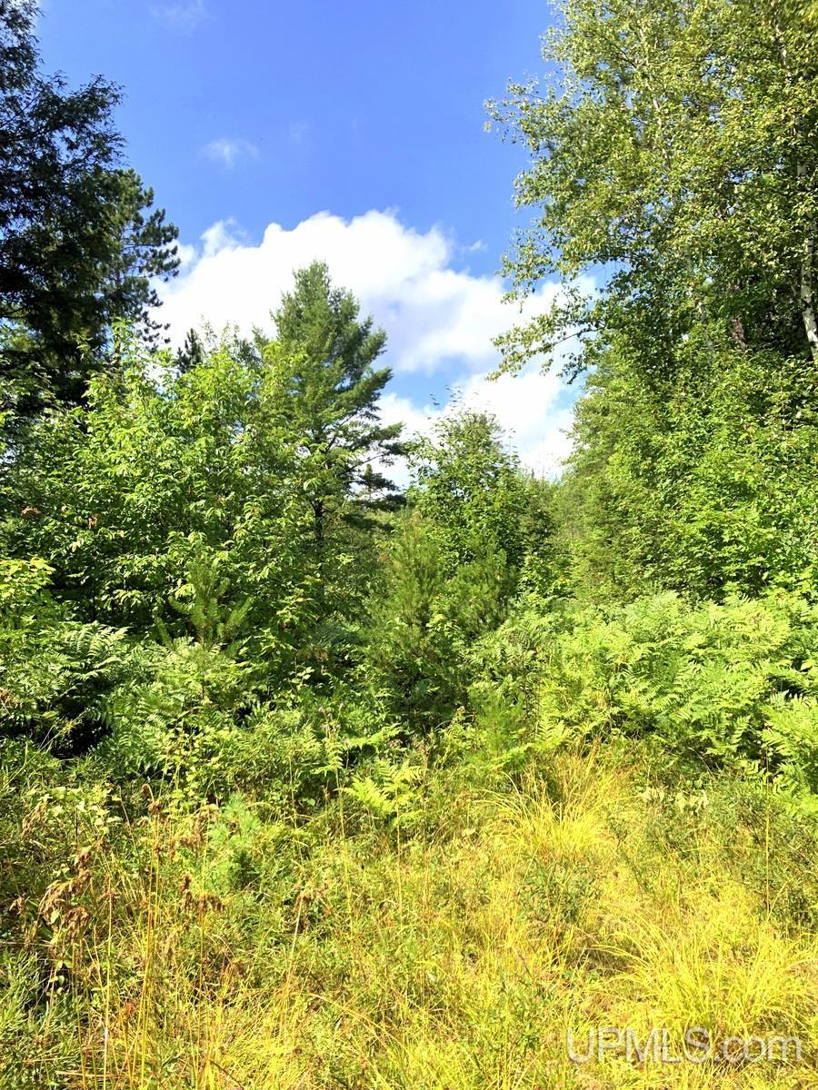 Tbd Tbd Co Road Negaunee, MI 49866 - Photo 19 of 24