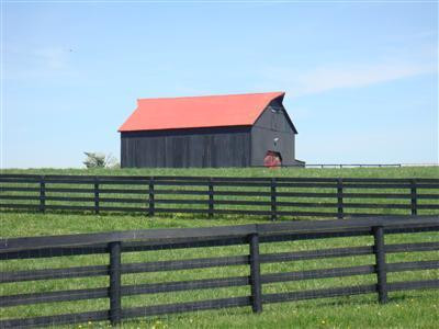 401 Clay Kiser Road Paris, KY 40361 - Photo 4 of 13 Photo 4