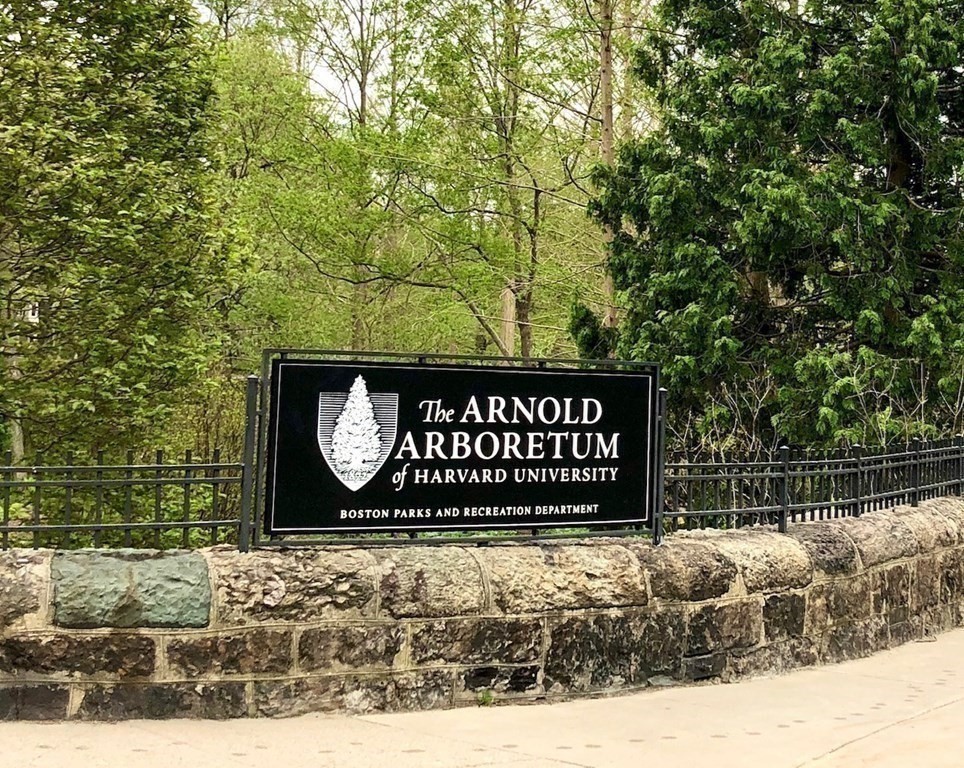 32 Rockview Street, Unit 2 Boston, MA 02130 - Photo 9 of 9