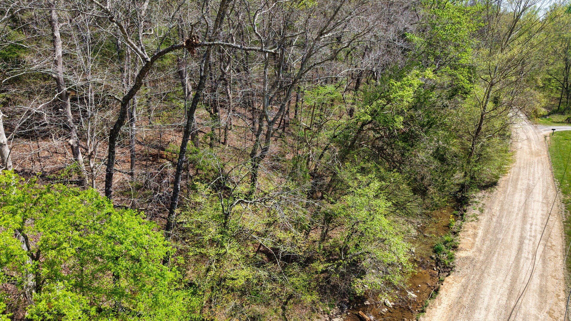 0 Brown Hollow Road Lyles, TN 37098 - Photo 9 of 18