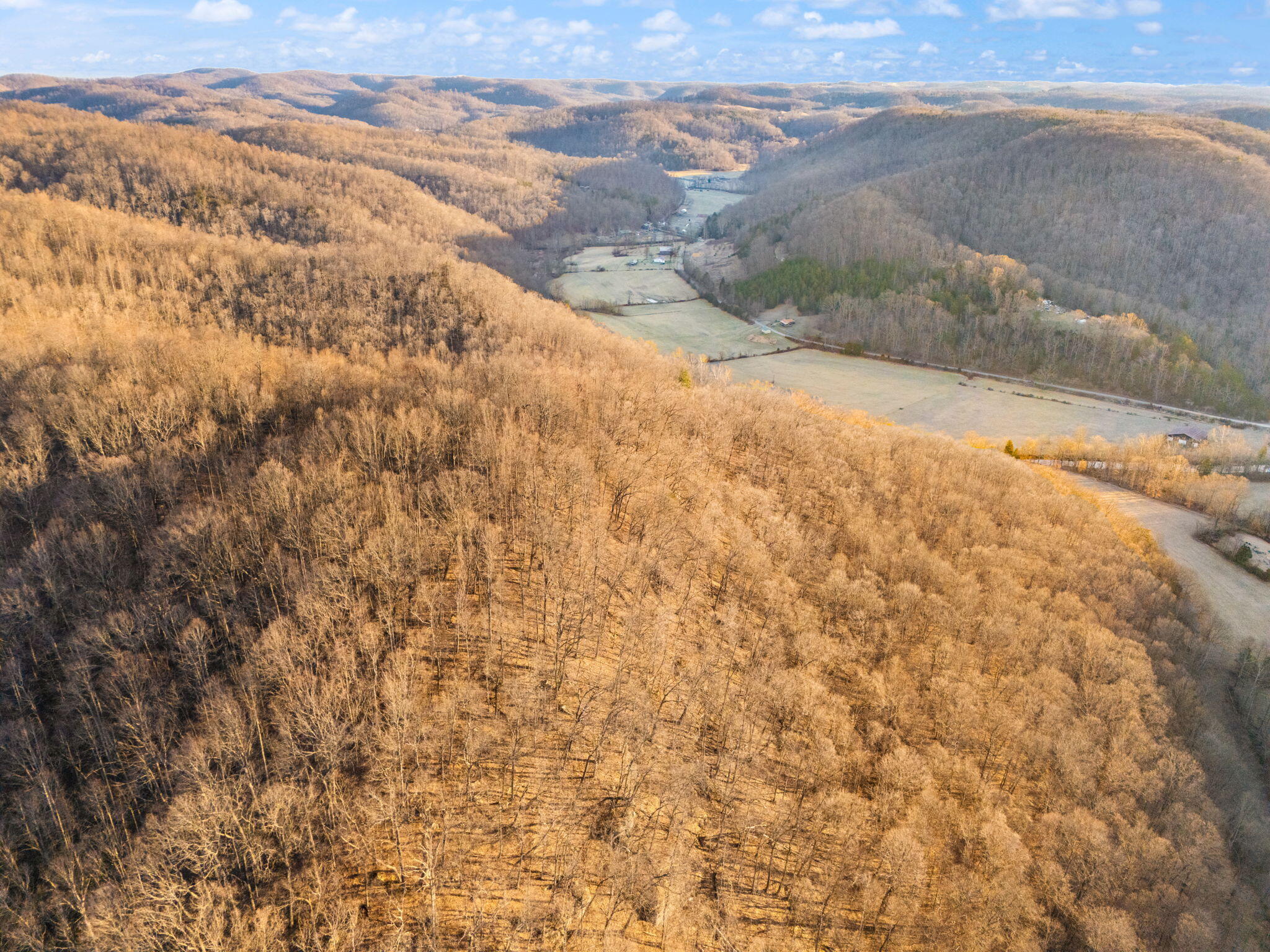 A & C Wildie Road Mount Vernon, KY 40456 - Photo 25 of 28 25-web-or-mls-DJI_20250310083917_0072_D